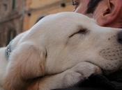 vacanza cane: programmare vacanze Mambo