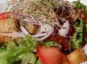 Insalata nizzarda