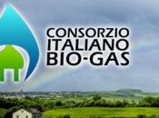 Consorzio italiano Bio-Gas