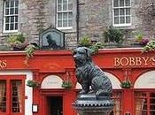 Dannati danni confini mondo