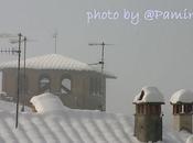 Neve zenzero