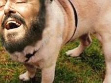 topo canterino