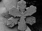 Foto giorno dicembre 2010 fiocco neve microscopio