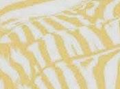 Album 2010 Beach House "Teen Dream"