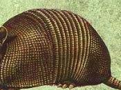 Holyday, holyday, best year Part