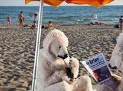 orsi polari lido Ostia