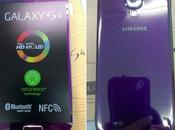 Samsung Galaxy mostra nella colorazione Purple Mirage Arctic Blue