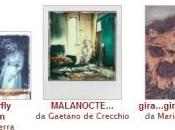 Foto della settimana