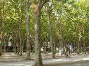 città confronto: Bordeaux