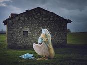 buio…la luce: luca vincentis