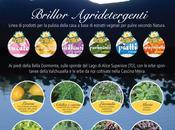 Brillor agridetergenti agricultural detergents
