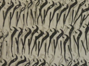 List successo SAACS Pieve Teco