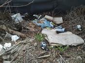 condizioni versa l'unica area verde Pietralata vedete questo reportage fotografico