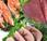 Pesce contro cancro seno: salmone sardine riducono rischio