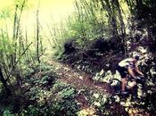 "Cavazze Trail" ovvero...mtb 2/8, 2013