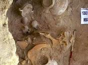 ricordi micenei Bodrum