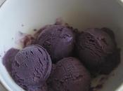 ricette gelati