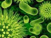 Probiotici batteri amici della nostra salute