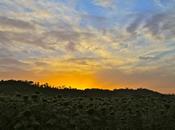 campagna tinge tramonto