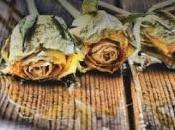 LIBROCOMMENTO DOPO PIOGGIA (Thunder Rain) Charles Martin-ed. Corbaccio