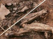 Sacrifici umani nell'Irlanda 2000 a.C.