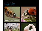 Quando mezzo natura, Windows Phone sempre dire sua. Weekly Nature natura portata smartphone!