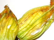 Fiori zucca ripieni ricotta