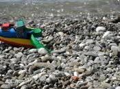 Mare Settembre Spiagge misura bambino bandiere verdi 2013