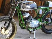 Readers rides: Java twin "Bone"