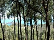 Vacanze Toscane.