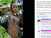 Paola Chiara plagiate Katy Perry? Quanta tenerezza!