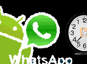 Whatsapp meritato rinnovo (annuale)