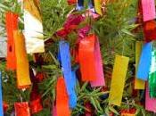 giappone treviso: sabato agosto festeggia tanabata appendendono desideri bambu'