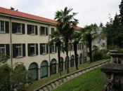 "NUOVE ASTRAZIONI" SARA FORTE cura Susanne Capolongo