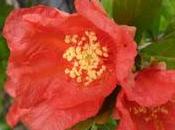 Edizione "Fatti Conoscere" Kreattiva