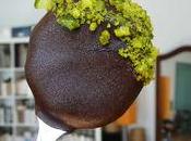 Kiwi ghiacciati cioccolato pistacchioso