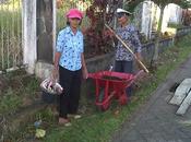 viaggi indonesia: Elias Lince sistemano giardino