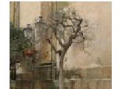 Scrive Giovanni, sugli alberi disinformazione ambientale Marsala