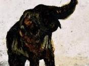 L'elefante scontento Griot racconta