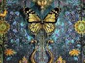 Kleanthis Argiro Tell something