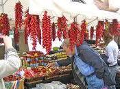 Diamante (Cosenza), Peperoncino Festival