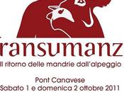 Piemonte tradizioni: Transumanza Pont Cavanese