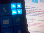 Nuova immagine Windows Phone Blue Reveal Live Tiles Grouping Folders