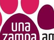 zampa amica invita happy hour beneficienza