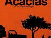 Uscirà nelle sale italiane giovedì ottobre film “Las acacias” Distribuito Cineclub Internazionale