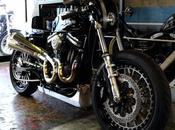 Harley "Sportster Cafè" Hide Motorcycle