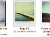 Foto della settimana