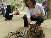 Thailandia (prima parte)