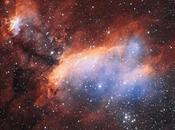 ‘zoomma’ sulla Nebulosa Gambero