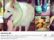 insta-week